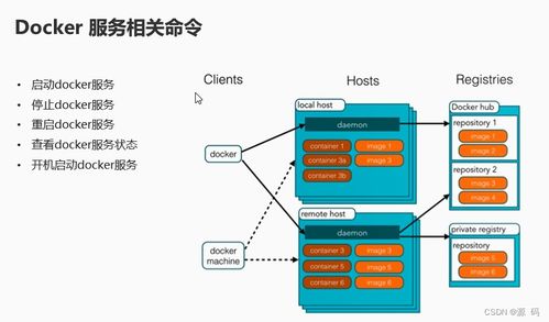 容器化技术Docker精讲 从基础命令到生产环境部署